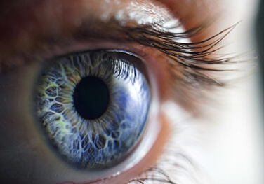 Close-up of a human eye